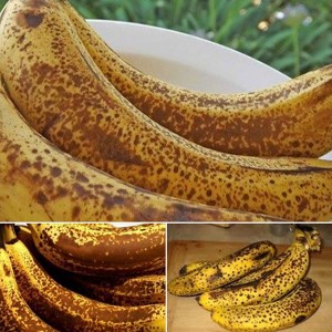 Banana bem Madura